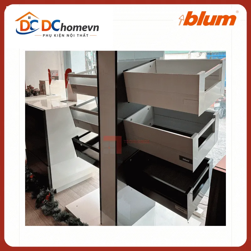 Ray hộp âm Blum TANDEMBOX Y4 8830111