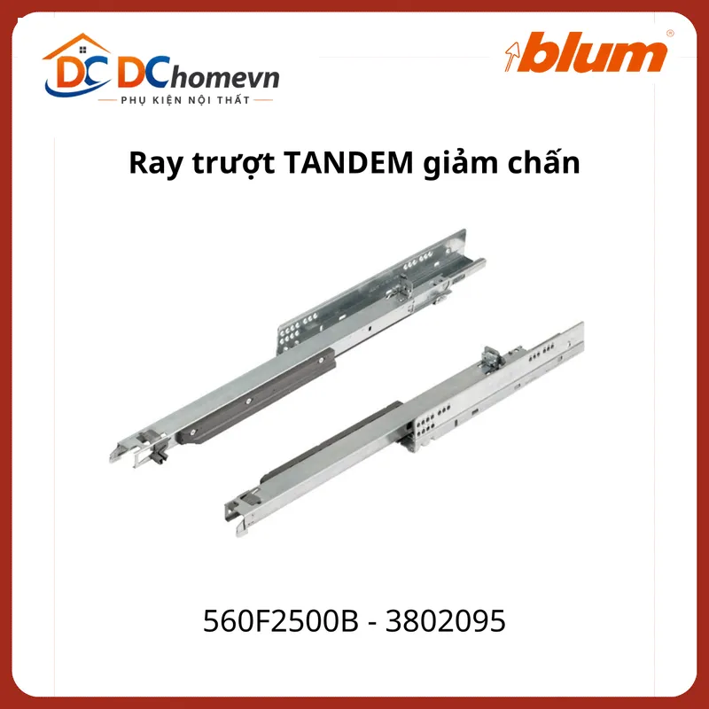 Ray trượt